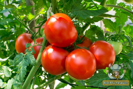 Kaimynai pavydės tokių sultingų pomidorų: pravers vos 1 gudrybė