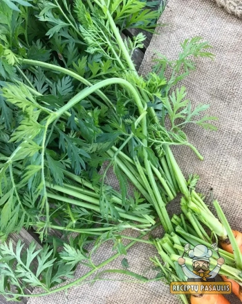 Morkų lapų arbata: natūralus sveikatos šaltinis jūsų kasdienai