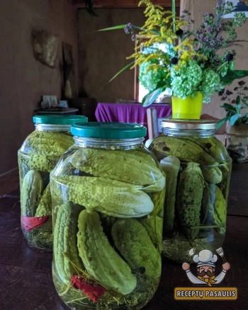 Uspaskicho marinuoti agurkai žiemai su vyšnių, serbentų ir krienų lapais