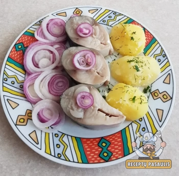 Labai skani marinuota skumbrė su svogūnais