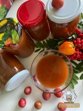 Saldžiarūgštis slyvų padažas su actu